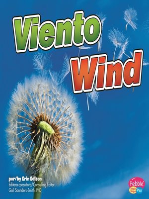 cover image of Viento/Wind